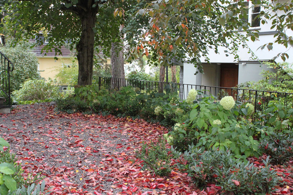 Trädgårdsarkitekt Villa i Bromma